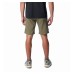 Ανδρική βερμούδα πεζοπορίας COLUMBIA SILVER RIDGE UTILLITY CARGO SHORT AX5763