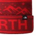 Σκουφάκι Ski THE NORTH FACE SKI TUKE BEANIE Cordovan - Horizon Red