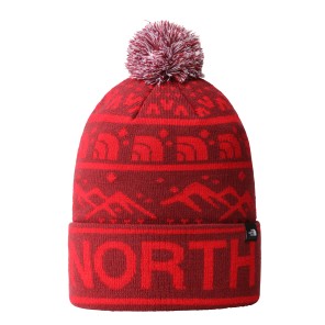 Σκουφάκι Ski THE NORTH FACE SKI TUKE BEANIE Cordovan - Horizon Red